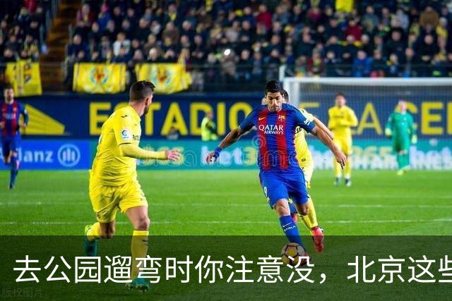 去公园遛弯时你注意没,北京这些老头老太太一身“年轻装”